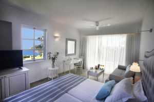 Standard Room SV