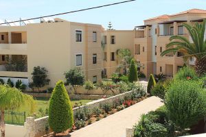 Creta Palm