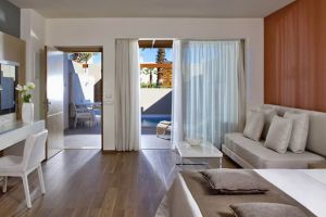 Superior Room Private Pool