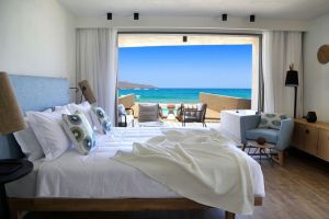 Pure Haven Room