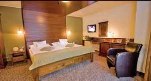 WELLNESS BOROVICA 