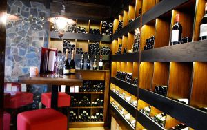 WELLNESS BOROVICA 