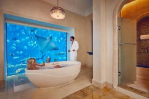 Atlantis The Palm Dubai De Luxe