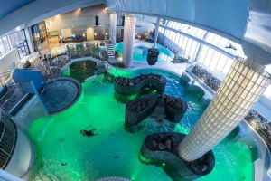 Levi Hotel Spa