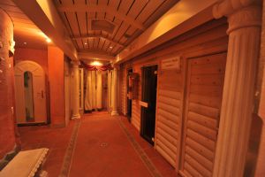 Sanotel