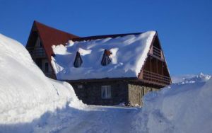 GUDAURI ALPIN HUT 3+*
