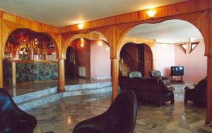 OZON HOTEL 2+*
