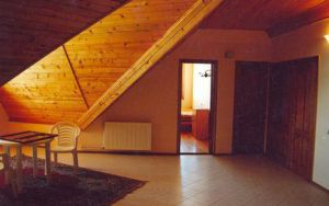 OZON HOTEL 2+*