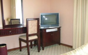 VICTORIA HOTEL 