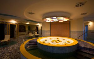 Alexander Hotel Terme