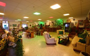 Cesotta Hotel