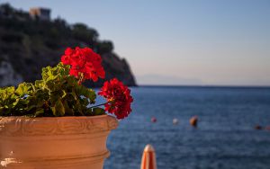 La Sirenella Hotel