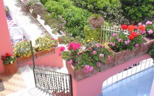 Casa Rosa Hotel Terme