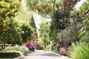 Marbella Club Hotel, Golf Resort & Spa