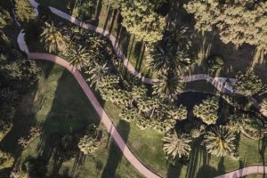 Don Carlos Resort & Spa