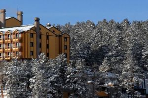 Sarikamis toprak hotel 5*