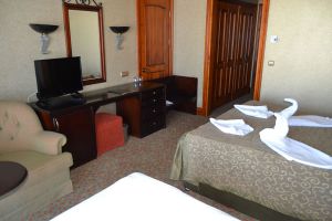 Sarikamis Toprak Hotel