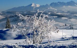 Закопане